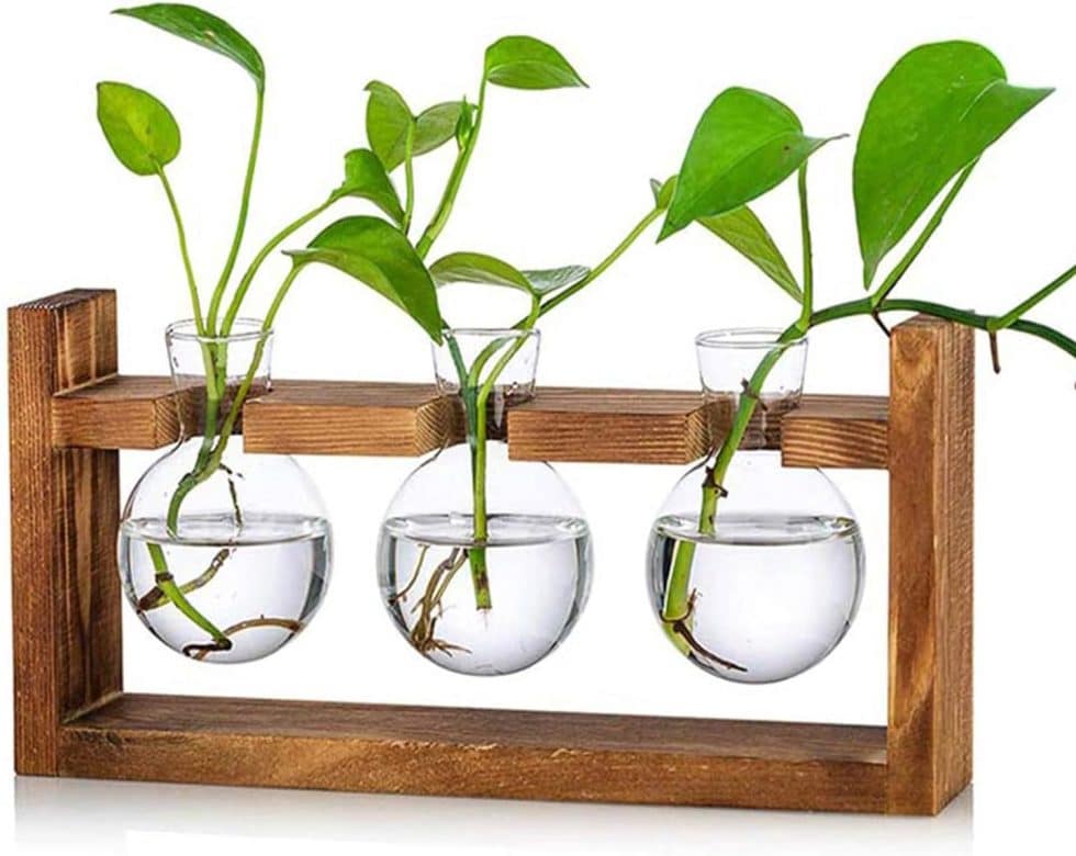 Kratky Method of Hydroponics Simplified | Master the Art of Kratky ...